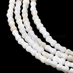 Natural Freshwater Shell Beads Strands&nbsp;SHEL-A006-04A