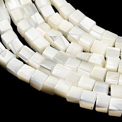 Natural Trochid Shell/Trochus Shell Beads Strands&nbsp;SHEL-C010-05B