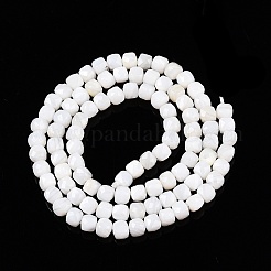 Natural White Shell Beads Strands&nbsp;SSHEL-N038-60