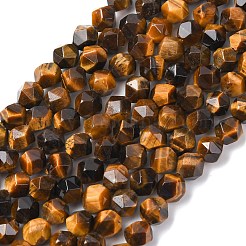 Faceted Natural Tiger Eye Beads Strands&nbsp;G-K066-01-10mm