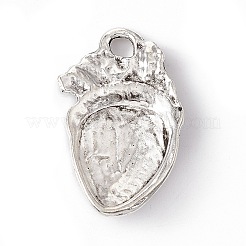 Tibetan Style Alloy Pendants&nbsp;FIND-A021-03AS