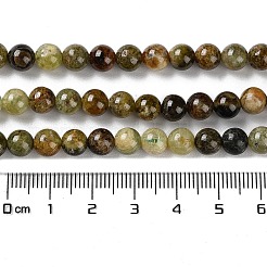 Natural Green Garnet Beads Strands&nbsp;G-Z034-B14-01