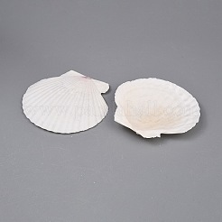 500G Natural Shell Ornaments&nbsp;DJEW-WH0001-50B