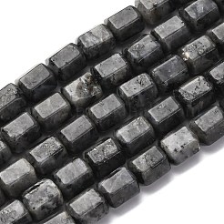 Natural Larvikite Beads Strands&nbsp;G-R015-A04