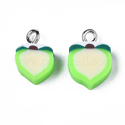 Handmade Polymer Clay Charms&nbsp;CLAY-S096-020B