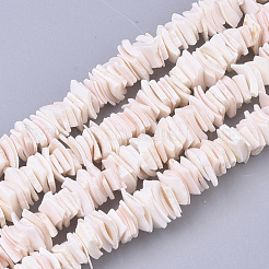 Natural Pink Shell Bead Strands&nbsp;X-SSHEL-N034-20