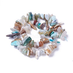 Natural Blue Opal Beads Strands&nbsp;G-I225-13B