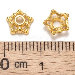 Tibetan Style Alloy Bead Caps&nbsp;LS-K08A7011