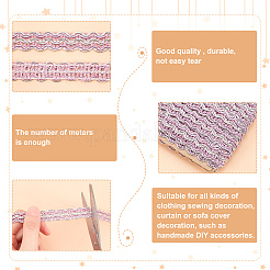 Polyester Braided Lace Ribbons&nbsp;OCOR-WH0060-73E