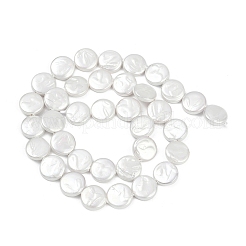 Electroplate Porcelain Imitation Pearl Beads Strands&nbsp;BSHE-Z009-02B