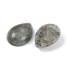 Natural Labradorite Cabochons&nbsp;G-H094-01A-19