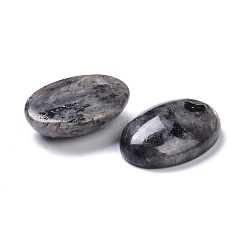 Natural Black Larvikite Cabochons&nbsp;G-Z020-10