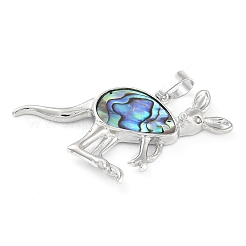 Paua/Abalone Shell Pendants&nbsp;G-A176-A13