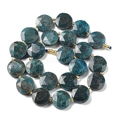 Natural Apatite Beads Strands&nbsp;G-C116-A159-03