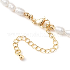 Faceted Round Natural Amazonite and Rice Natural Pearl Beaded Necklaces for Women&nbsp;NJEW-JN05816-04