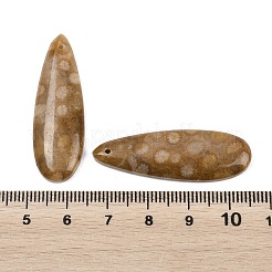 Natural Fossil Coral Pendants&nbsp;G-B187-01C-05