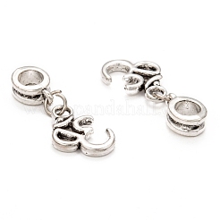 Tibetan Style Alloy Large Hole European Dangle Charms&nbsp;PALLOY-JF00035