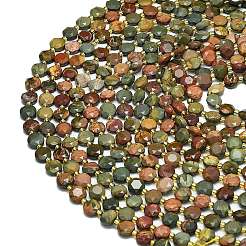 Natural Picasso Stone/Polychrome Jasper Beads Strands&nbsp;G-C116-A84-02