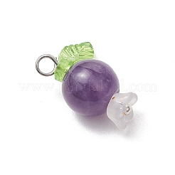 5Pcs 5 Styles Natural Amethyst & Quartz Crystal & Rose Quartz & White Jade & Dyed Malaysia Jade Round Pendants&nbsp;PALLOY-JF03962-01