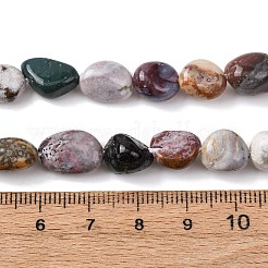 Natural Ocean Jasper Beads Strands&nbsp;G-E483-39B