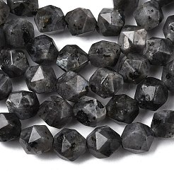 Natural Larvikite Beads Strands&nbsp;G-Z119-A32-02