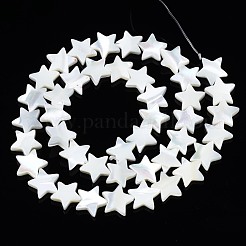 Natural Trochid Shell/Trochus Shell Beads Strands&nbsp;SSHEL-N034-96B-B01