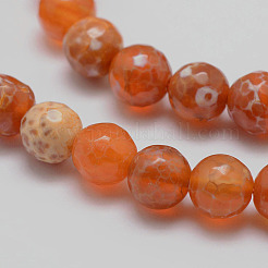 Natural Fire Crackle Agate Bead Strands&nbsp;X-G-K166-07F-8mm-10