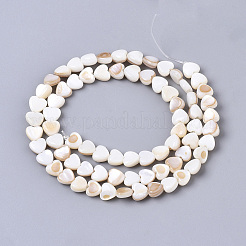 Natural Trochid Shell/Trochus Shell Bead Strands&nbsp;X-SSHEL-N034-66
