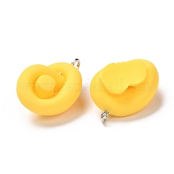 Resin Pendants&nbsp;RESI-D053-10P-04