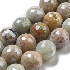 Natural Amazonite Beads Strands&nbsp;G-O164-02-12mm