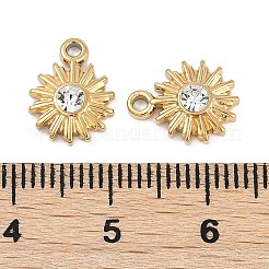 304 Stainless Steel Rhinestone Charms&nbsp;STAS-I325-031G