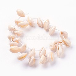 Natural Cowrie Shell Beads Strands&nbsp;X-BSHE-L036-32E-03