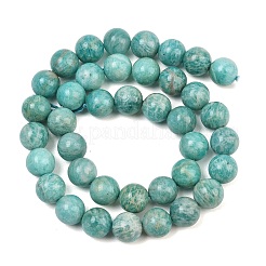 Natural Amazonite Beads Strands&nbsp;G-F461-12-10mm-01