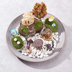 Resin Succulent Micro Landscape Dollhouse Ornaments&nbsp;DJEW-GF0001-58