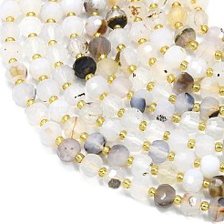 Natural Dendritic Agate Beads Strands&nbsp;G-K389-E61-01