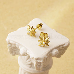 304 Stainless Steel Stud Earrings&nbsp;DM7553-1