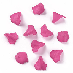 Transparent Acrylic Bead Caps&nbsp;PL551-C16