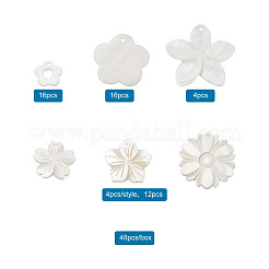 Natural Freshwater Shell Pendants&nbsp;SSHEL-KS0001-01