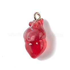 Transparent Resin Pendants&nbsp;RESI-E028-01G-03