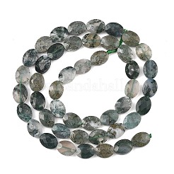 Natural Moss Agate Beads Strands&nbsp;G-H349-A01-22
