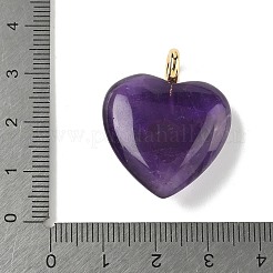 Natural Amethyst Pendants&nbsp;G-P585-03G-11