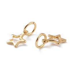 Brass Charms&nbsp;KK-A149-08G