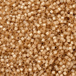 MIYUKI Delica Beads&nbsp;SEED-X0054-DB2171