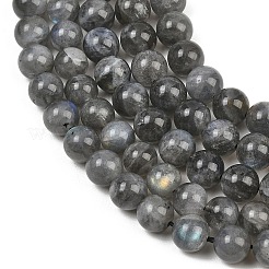 Natural Labradorite Beads Strands&nbsp;G-P336-19-8mm-01