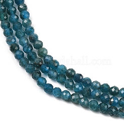 Natural Apatite Beads Strands&nbsp;G-E411-36-3mm-02