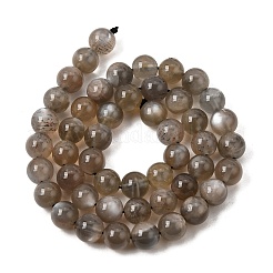 Natural Grey Moonstone Beads Strands&nbsp;G-G206-A01-8mm