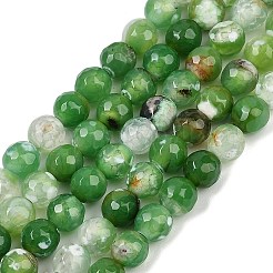 Natural Fire Crackle Agate Beads Strands&nbsp;G-C082-A01-51