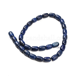 Natural Lapis Lazuli Beads Strands&nbsp;G-H319-A01-01