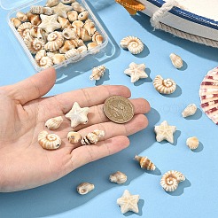 25Pcs 5 Styles Handmade Porcelain Ceramic Beads&nbsp;PORC-YW0001-85