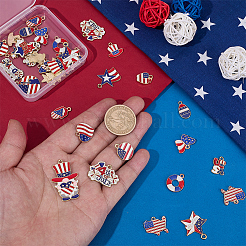 Independence Day Themed Zinc Alloy Enamel Pendants&nbsp;ENAM-BM0001-45